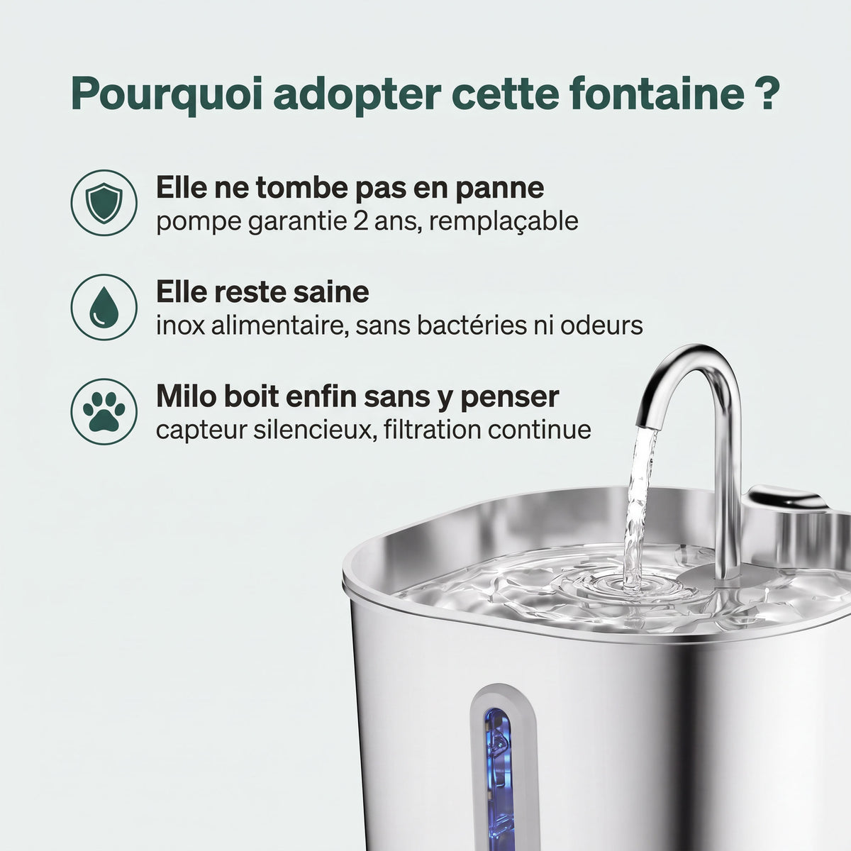 Pourquoi adopter cette fontaine