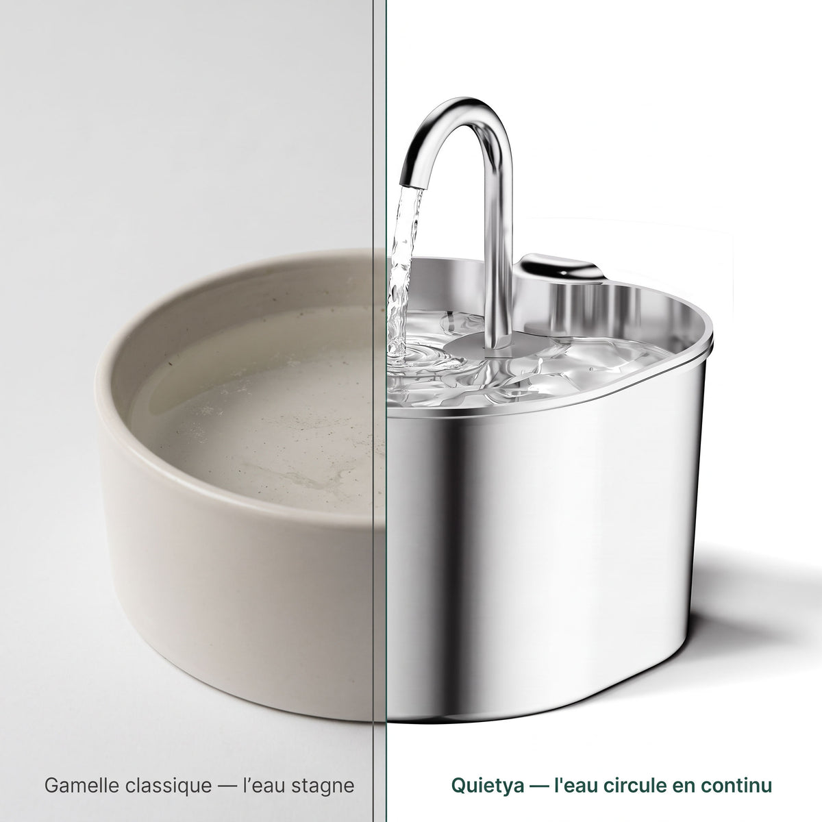 Avant apres - gamelle stagnante vs Quietya eau en mouvement